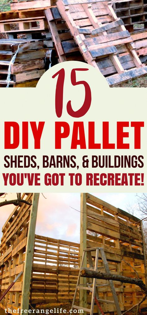 Pallet Sheds, Pallet Building, Pallet Shed, Build Your Own Shed, Homesteading Diy, Pallet House, Shed Building Plans, Barn Garage, Diy Shed Plans