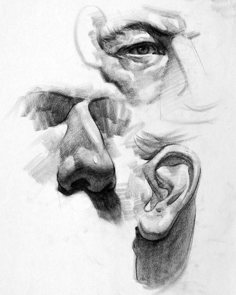 ArtStation - Facial Feature Studies, Stan Prokopenko Feature Drawing, Study Drawing, Head Study, Drawing Study, Human Anatomy Drawing, Drawing Heads, Human Figure Drawing, Human Drawing, Sketch Pencil