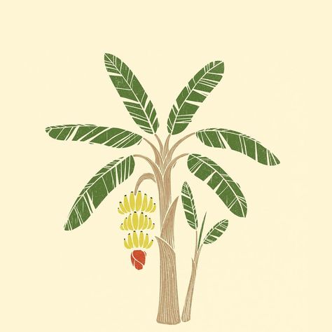 Banana Tree Illustration, Banana Packaging, Drawing Leaves, Tree Drawing Simple, Tree Tattoo Arm, Drawing Tree, Willow Tree Tattoos, Palm Tree Vector, Family Tree Tattoo