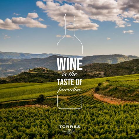 #wine is the taste of paradise Wine Catalogue Design, Wine Social Media, Wine Campaign, Wine Ads, Wine Brochures, Wine Infographic, Wine Logo Design, Wine Bar Design, Wine Presentation