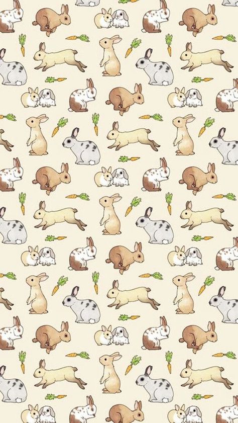 Lovely and cheerful bunny surface pattern design Imagem de background, bunny, and carrot Rabbit Background, Background Bunny, Rabbit Paper, Rabbit Wallpaper, Pet Bunny Rabbits, Bunny Care, 동화 삽화, Bunny Drawing, Bunny Wallpaper