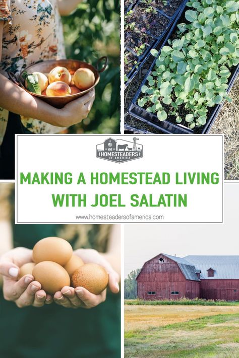 Homesteading Family Josh And Carolyn, Sustainable Farming Homesteads, Food Sustainability, Joel Salatin, Sustainable Homestead, Commercial Farming, Modern Homesteading, Homestead Life, Homesteading Ideas