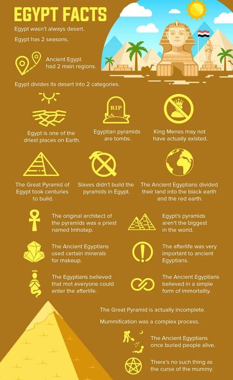 Ancient Egypt Facts, Facts About Egypt, Egypt Facts, Facts About Ancient Egypt, History Egypt, Ancient Egypt Crafts, Ancient Egypt Activities, Egypt Civilization, Egypt Activities