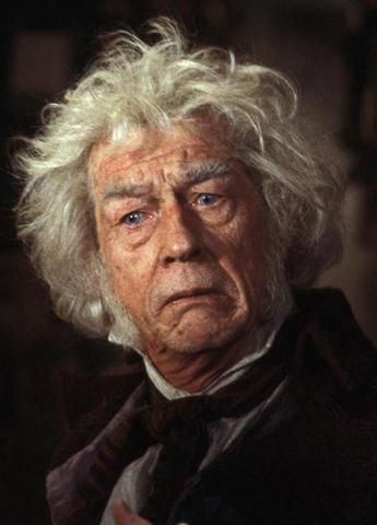 Harry Potter Trivia Quiz, Garrick Ollivander, Harry Potter Quiz, The Sorcerer's Stone, Harry Potter Actors, Harry Potter Pictures, Harry Potter Films, Harry Potter Facts, Harry Potter Film