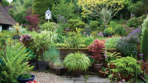 Container Garden Front Yard, Pots In Garden Beds, Pea Gravel Container Garden, Raised Flower Beds On Gravel, Container Garden On Gravel, Planting In Drifts, Container Bog Garden, Large Garden Pots, Australian Native Garden