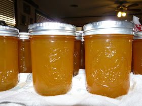 It Happens in a Flash: Canning and Satsuma Jelly Satsuma Jelly Recipes, Satsuma Jelly, Satsuma Recipes, Satsuma Tree, Habanero Jelly, Canning Granny, Canning Pears, Satsuma Orange, Apple Pie Moonshine