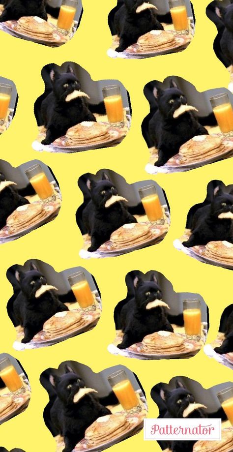 Wallpaper salem Salem Wallpaper, Yellow Color Wallpaper, Salem Saberhagen, The Voidz, Sabrina The Teenage Witch, Current Mood Meme, Color Wallpaper, The Strokes, Cat Pattern