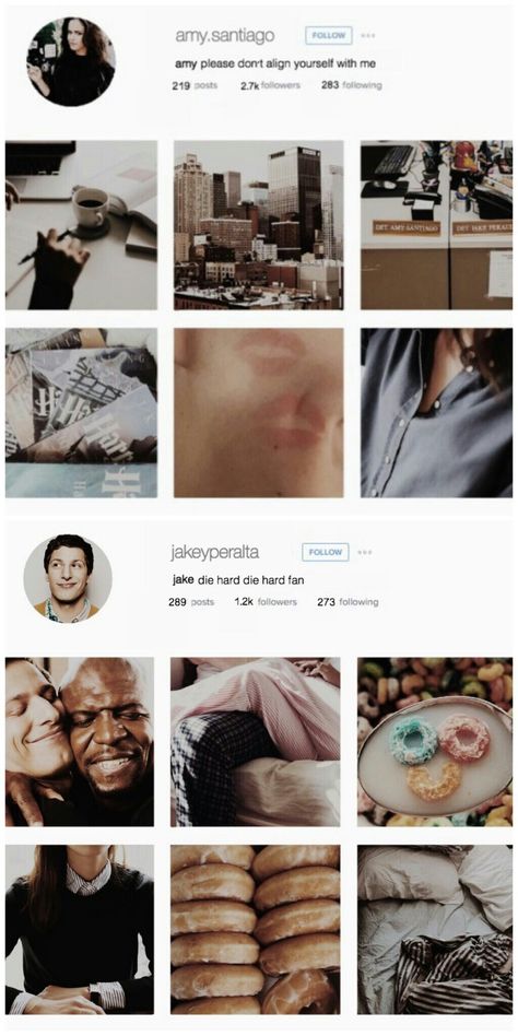 Social Media Au, Charles Boyle, Jake And Amy, Gina Linetti, Amy Santiago, Pani Puri, Nerd Herd, Andy Samberg, Brooklyn 99