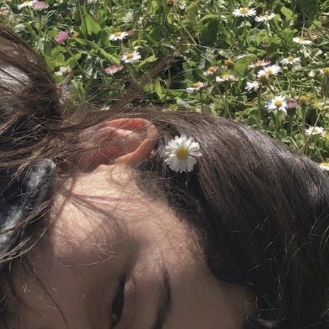 Like Aesthetic, Gracie Abrams, Spring Aesthetic, Foto Ideas Instagram, Camp Half Blood, Spring Vibes, Jolie Photo, Summer Dream, Nature Aesthetic