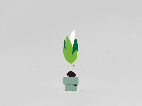 Plant by Joe Le Huquet | Dribbble | Dribbble Plant Animation Gif, Plant Motion Graphic, Plant Growing Animation, Animated Plants, Plant Animation, Flower Animation, Plant App, Plant Logos, Frame By Frame Animation