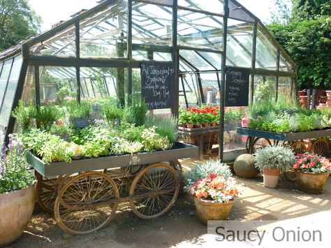 Greenhouse Venue, Greenhouse Cafe, Garden Center Displays, Petersham Nurseries, Restaurant London, Harvest Farm, Greenhouse Interiors, Outdoor Cafe, Diy Greenhouse