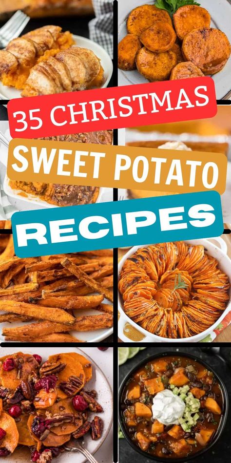 These Christmas Sweet Potato Recipes is the ultimate side dish recipes. These 35 recipes are sure to please your family this holiday. We love the delicious variations to this traditional side dish. Choose one of these casseroles for a delicious recipe that is easy to make with simple ingredients. #christmasonadime #christmassweetpotatoerecipes #sweetpotatorecipes Sweet Potato Holiday Recipes, Sweet Potato With Cranberries, Christmas Sweet Potatoes, Thanksgiving Sweet Potato Sides, Sweet Potato Recipes Christmas, Sweet Potato Christmas Recipes, Healthy Sweet Potato Recipes Side Dishes, Holiday Sweet Potatoes, Christmas Sweet Potato Recipes