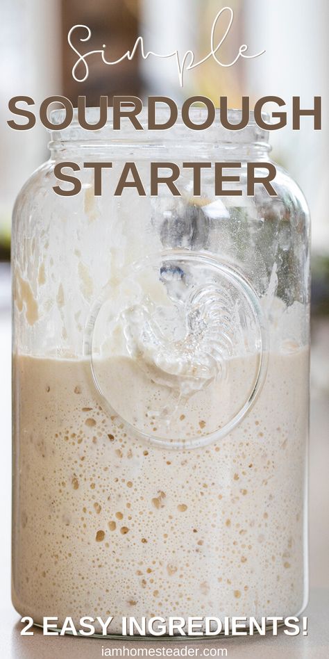 Sourdough Breads, Dough Starter, Sourdough Bread Starter, Sourdough Starter Discard Recipe, Bread Starter, Homemade Sourdough Bread, Homemade Sourdough, Artisan Bread Recipes, Sourdough Starter Recipe