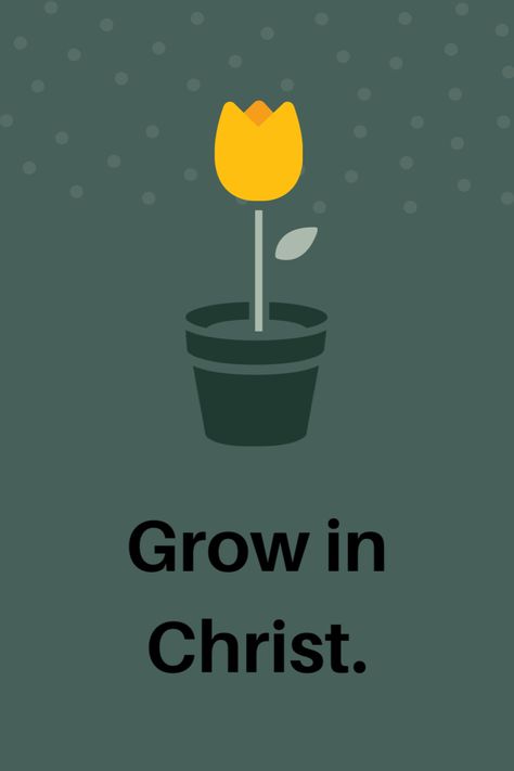 Let yourself mature and grow in Christ for His glory. #grow #growinchrist #god #dailymotivation #dailyinspiration #dailyquotes #quotes #quotestoliveby #quotesaboutlife #quoteoftheday #quote #women #womenempowerment #womensupportingwomen #godlyquotes Growing With God, Women Pastors, Dream Psychology, For His Glory, Christ Quotes, Study Hard, 2024 Vision, Good Grades, Quotes About God