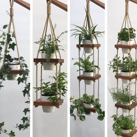 Wall Planters Indoor, نباتات منزلية, Hanging Planters Indoor, Hanging Plants Indoor, Plant Decor Indoor, House Plants Decor, Room With Plants, House Plants Indoor, Plant Shelves