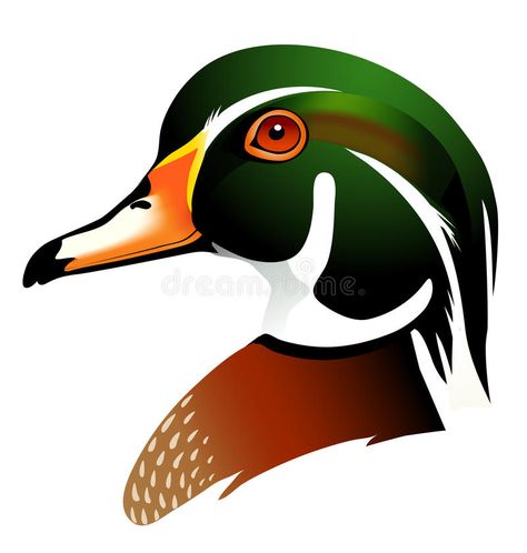 Duck Vector, Golf Club Art, Duck Illustration, Duck Drawing, Duck Head, Wood Duck, Wood Ducks, Seamless Pattern Vector, Stained Glass Patterns