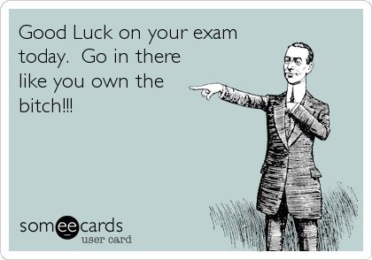 Good Luck on your exam today. Go in there like you own the bitch!!! | Encouragement Ecard | someecards.com Good Luck For Exams, Testing Quote, Exams Funny, Funny Encouragement, Exam Quotes, Funny Confessions, Exam Motivation, Luck Quotes, Work Motivation