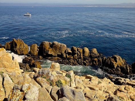 Lover's Point, Monterey, California Anniversary Destinations, 30 Year Anniversary, California Beaches, Monterey California, Pacific Grove, California Dreamin', California Beach, California Travel, California State