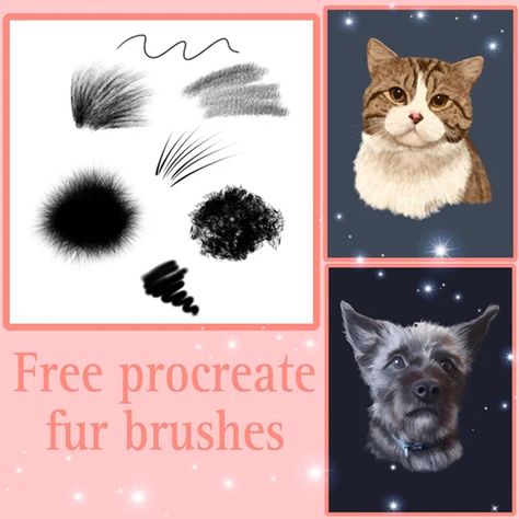 Free Fur Brushes for Procreate - LIBRIUM Procreate Free Brushes, Spanish Notes, Best Procreate Brushes, Painting Fur, Free Brushes, Illustrator Brushes, Free Procreate, Procreate Brushes Free, Fur Texture