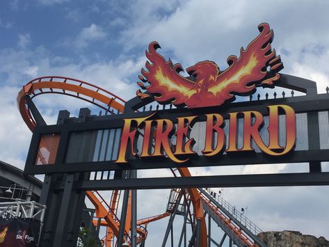 Firebird is a floorless roller coaster located at Six Flags America in Prince George's County, Maryland. Six Flags Maryland, Six Flags America, Six Flags, Amusement Parks, Firebird, Roller Coaster, Maryland, Mammals, Disneyland