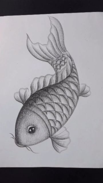 Pencil Shaded Drawings, Drawing With Shading, Pencil Shading Drawings, Fish Pencil Drawing, Still Life Pencil Shading, Fish Sketch, Shading Drawing, Disney Drawings Sketches, Pencil Sketch Images