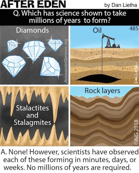 After Eden 485: Think Fast! Bible Science, Rock Layers, Answers In Genesis, Creation Science, The Garden Of Eden, Cool Science Facts, Homeschool Education, Gospel Message, Think Fast