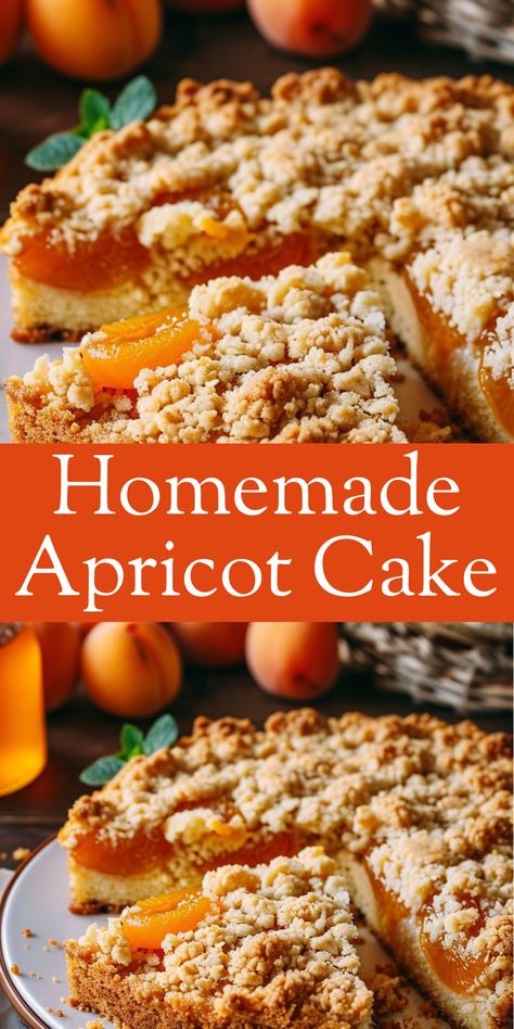 Bake a delightful homemade apricot cake with fresh apricots and a hint of cinnamon. Apricot Baked Oatmeal, Easy Apricot Dessert Recipes, Desserts With Apricots, Apricot Bread Recipe With Fresh Apricots, What To Make With Apricots, Frozen Apricot Recipes Desserts, Canned Apricot Recipes Desserts, Fresh Apricot Recipes Desserts, Recipes With Apricots