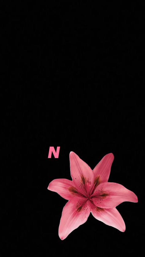 N initial Initial Wallpaper, N Initial, Initial N, Flower Wallpaper, Initials, Flowers