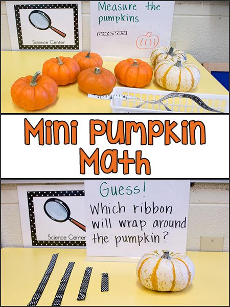 Mini pumpkins make great tools for science and math exploration in the Pre-K classroom. We used mini pumpkins for exploring weight, measurement, and estimation. These activities can be added to your Science Center or Math Center as a learning display. Children love anything mini, and I like to include real pumpkins for children to explore in the Fall. Pumpkin Lesson Plans, Pumpkin Activities Preschool, Pumpkin Lessons, Pumpkins Preschool, Pumpkins Kindergarten, Pre K Classroom, Pumpkin Science, Pumpkin Math, Pumpkin Unit