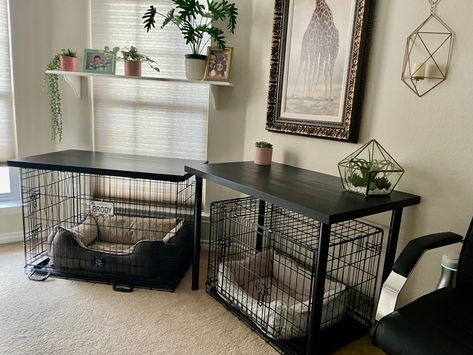 Functionally finished dog crates in my office Dog Crate Office, Office With Dog Crates, Desk Dog Crate, Dog Crates In Bedroom, Cute Crates For Dogs, Dog Room Design, Furniture Crates Dog, Dog Crate Table, Content Space