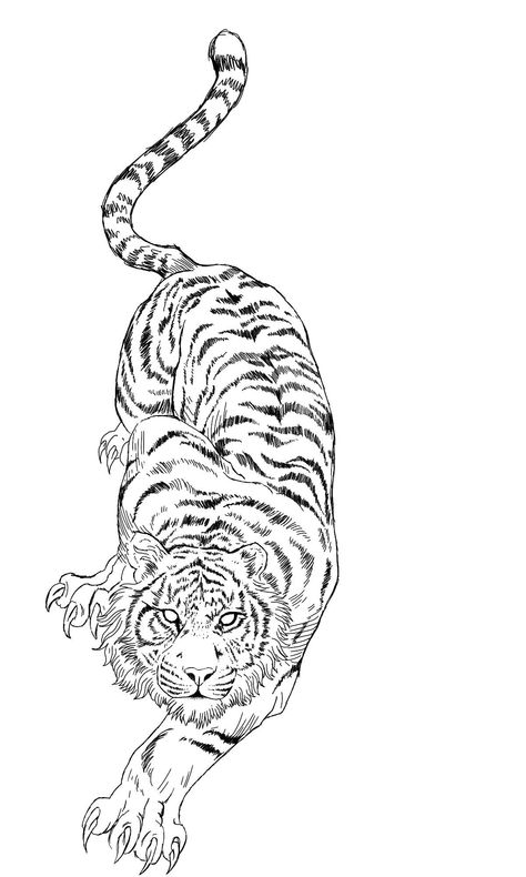 Troy Tattoo, Chef Tattoo, Japanese Tiger Tattoo, Tiger Style, Oni Tattoo, Big Cat Tattoo, Universe Tattoo, Tiger Tattoo Design, Tattoo Stencil Outline