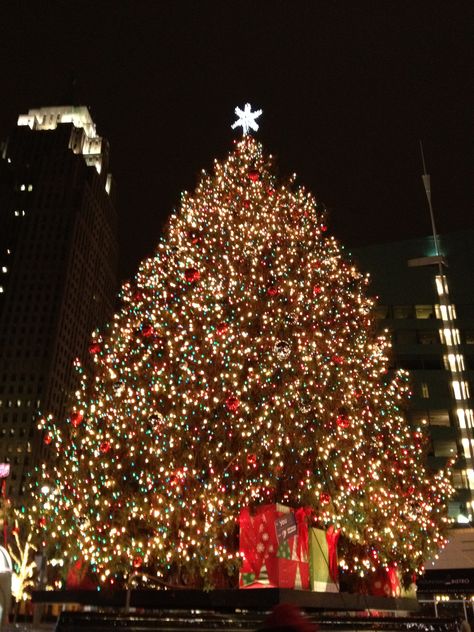 6 metro Detroit holiday events to get you in the spirit of the season - Detroit Moxie - Campus Martius Detroit Christmas, Christmas In Michigan, Detroit Christmas, University Of Michigan Christmas Tree, Washington Dc Christmas, Michigan Living, Campus Martius, Michigan Christmas, Michigan Central Station Detroit