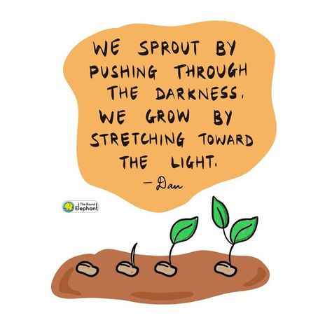 The Round Elephant theroundelephant quote motivation inspiration light seed sprout grow growth Seed Quotes Life, Seed Sayings Quotes, Planted Seed Quotes, Growth Quotes Plants, Seeds Quotes Inspiration, Planting A Seed Quote, Planting Quotes Life Inspiration, Plant Growing Quotes Life, Seed Quotes Inspiration