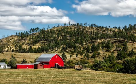 Wyoming is the Cowboy State, so it’s not surprising that cattle is the number one agricultural industry there. But it’s certainly not the only thing. Wyoming Ranch, Shipping Container Sheds, Prefab Sheds, Cloud Photo, Building A Pole Barn, Post Frame Building, Homestead Ideas, Cloud Photos, Free Cloud