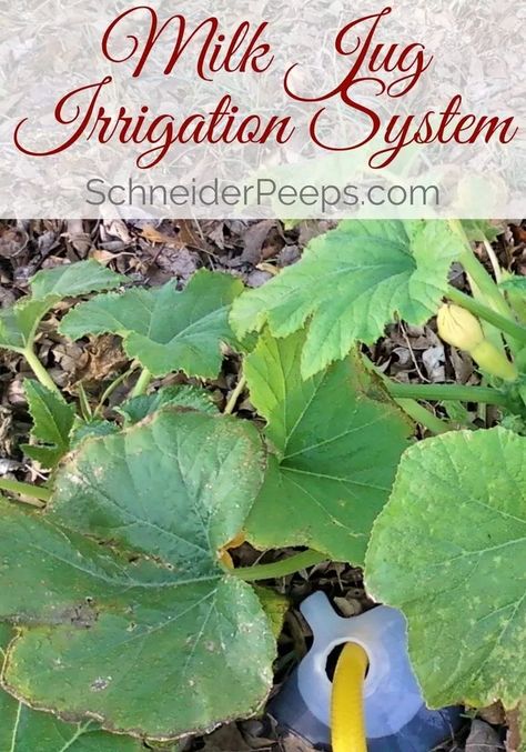 Diy Irrigation, Irrigation System Diy, Irrigation Diy, Garden Watering System, Irrigation Systems, Conserve Water, Watering System, Backyard Farming, Garden Irrigation