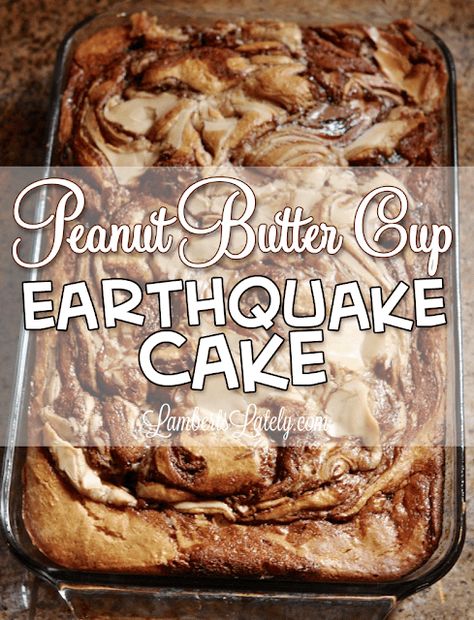 Peanut Butter Cup Earthquake Cake - Lamberts Lately Earthquake Cake Recipes, Earthquake Cake, Reese's Peanut Butter Cup, Peanut Butter Desserts, Chocolate Swirl, Homemade Peanut Butter, Peanut Butter Cup, Reeses Peanut Butter Cups, Box Cake Mix