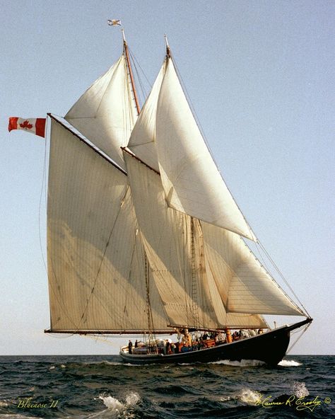 Bluenose Ship, Bluenose Schooner, Schooner Ship, Luxury Sailing Yachts, Sailboat Yacht, Old Sailing Ships, Sailboat Art, Fishing Vessel, Classic Yachts