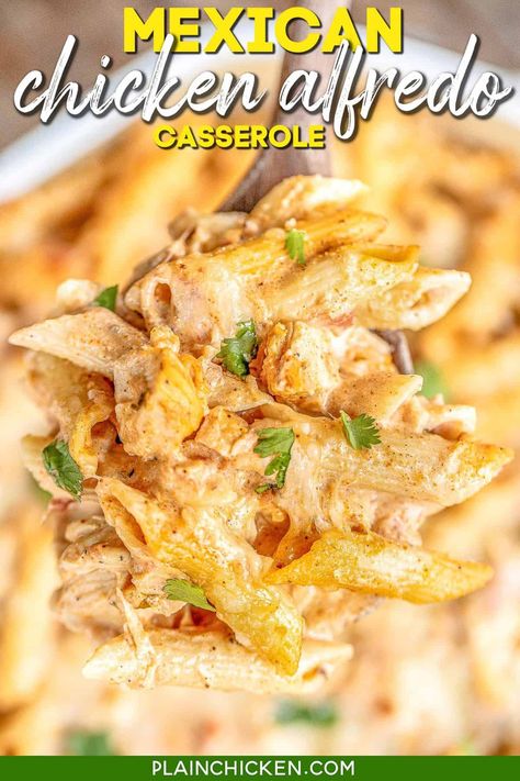 Mexican Chicken Alfredo, Pasta Alfredo Sauce, Alfredo Casserole, Chicken Alfredo Casserole, Mexican Chicken Casserole, Pasta Alfredo, Main Dish Casseroles, Chicken Alfredo Pasta, Plain Chicken