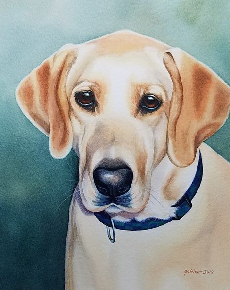 Yellow Lab Painting Easy, Yellow Lab Painting, Watercolor Labrador, Painting Dogs, Watercolor Dogs, Pyrenees Dog, Dog Portraits Painting, Labrador Mix, Great Pyrenees Dog