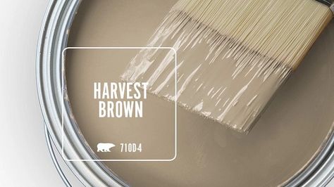 HARVEST BROWN 710D-4 | Behr Paint Colours Behr Rugged Tan, Behr Basketry Paint, Harvest Brown Paint Behr, Behr Dry Brown, Behr Wheat Bread Paint, Brown Paint Colors, Behr Colors, Semi Gloss Paint, Behr Paint Colors