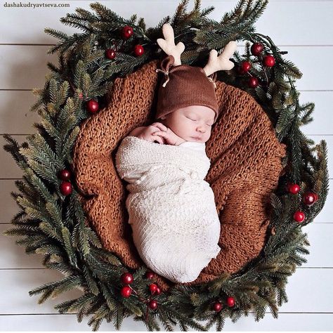 Newborn Christmas Photography, Newborn Christmas Pictures, Baby Holiday Photos, Newborn Christmas Photos, Newborn Family Pictures, Christmas Session, Diy Newborn Photography, Christmas Baby Pictures, Christmas Newborn