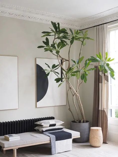 London Homes, Minimalism Living, Soft Minimalism, Decor Ikea, Deco Nature, Boho Living Room Decor, Interior Plants, Décor Boho, Style Deco