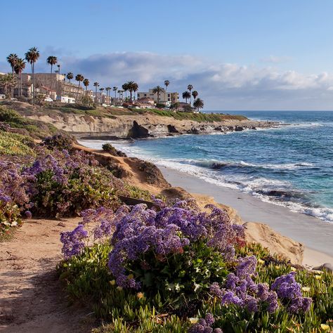 La Jolla offers beautiful views of the ocean and rugged cliffs, but you'll also find elegant restaurants and little cafes, along with upscale shopping, art museums, and a world-class research aquarium. 2023 Vibes, Southern California Travel, Coronado California, Seaside Cafe, California Life, Cali Trip, La Jolla Shores, La Jolla Beach, California Beaches