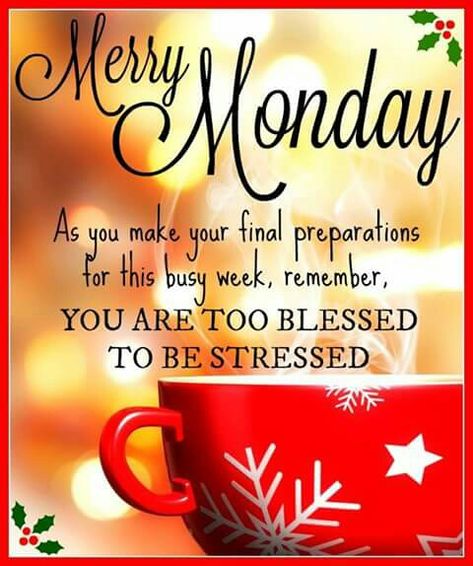 Monday Christmas Quotes, Happy Monday Christmas, Monday Morning Blessing, Positive Living Quotes, Happy Monday Quotes, Merry Monday, Monday Christmas, December Quotes, Good Morning Motivation