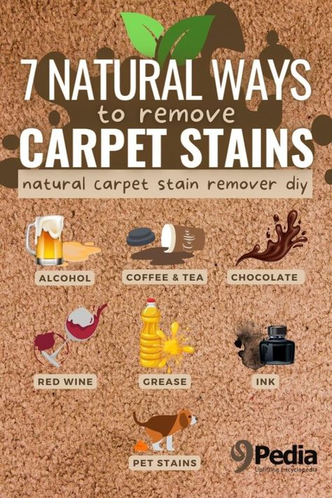 7 Natural Ways to Remove Carpet Stains #carpetcleaning #carpetstains #stainremover #naturalstainremover #carpetwashing Diy Carpet Cleaning Solution, Remove Carpet Stains, Diy Carpet Stain Remover, Remove Carpet, Natural Stain Remover, Coffee Stain Removal, Remove Rust Stains, Stain Remover Carpet, Alternative Living