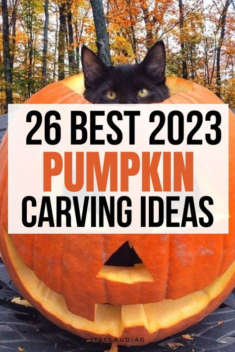 Kids Pumpkin Carving, Halloween Pumpkin Carving Ideas, Diy Pumpkin Carving, Unique Pumpkin Carving Ideas, Cat Pumpkin Carving, Cute Pumpkin Carving, Halloween Pumpkin Carving, Pumkin Carving, Halloween Decor Diy