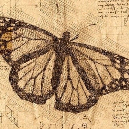 Mine Drawing, Drawing Butterfly, I Am Here, Not Mine, Writing, The World, Drawings