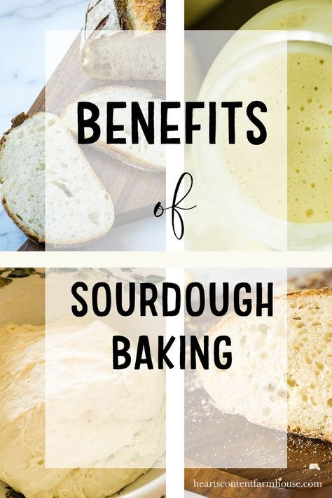 Sourdough Bread Benefits, Benefits Of Sourdough Bread, Mops Activities, Benefits Of Sourdough, Yeast Free Breads, Fermented Milk, Making Yogurt, Starter Recipes, Freezable Meals