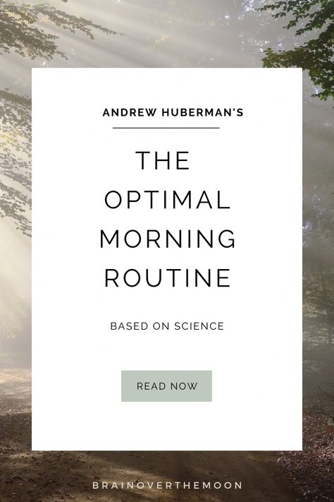 Dr. Huberman's optimal morning routine shows us that when you follow science, becoming the best version of yourself is not as challenging as you might think! Morning Wellness Routine, Bullet Journal Topics, Morning Workout Motivation, Morning Routine Chart, Andrew Huberman, Morning Yoga Routine, Morning Activities, Productive Morning, Routine Chart