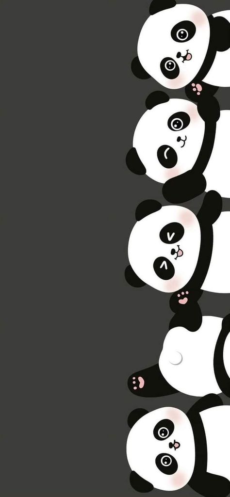 Panda Wallpaper Iphone, Panda Background, Cute Panda Drawing, Collage Photo Frame Design, Cute Panda Cartoon, Panda Drawing, Black Wallpaper Iphone Dark, Cute Mobile Wallpapers, Cute Panda Wallpaper